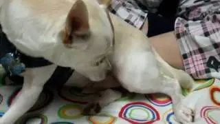 That tickle
