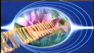 Ptv in 1995 PTV 1995 old advertise