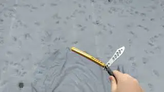 BBFIREFLY Trainer flips
