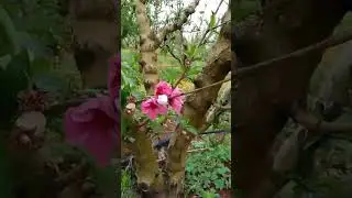 مشاء الله بغيت نشارك معكم هذي الجولة في خيرات بلادنا