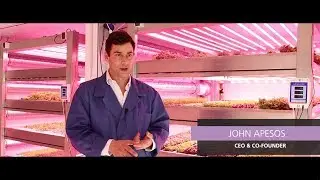 Вертикальное фермерство, светодиоды и вкус листовой зелени (GROWx Vertical Farm, Амстердам)