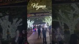 Vlogmas day 6 | holiday lights at discovery green and Christmas trees at George r brown