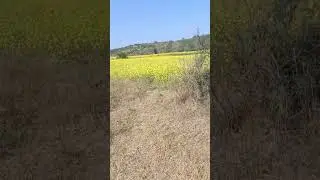 #satisfying #choasaidanshah #chakwal #viral #village