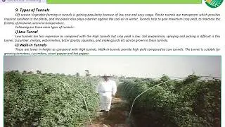 Off- Season Vegetable Farming in Tunnels.