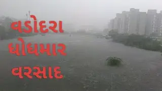 ધોધમાર વરસાદ #vadodara #rain #nature #trending #viralvideo @minalpatelvadodara