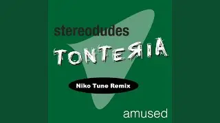 Tonteria (Niko Tune Remix)
