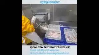 IQF Spiral Freezer Freezing Fish Fillets