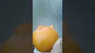 persimmon with ears like a rabbit (GMO or natural?)