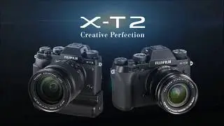 Best DSLR Cameras For Beginners - Top 5 Best Cameras