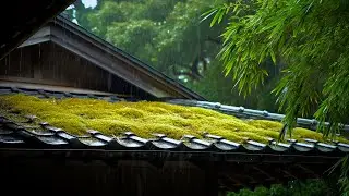 The Charm of Rain on a Mossy Bamboo Roof
