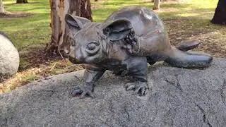 Piltawodli Possum home|dedicated to Kaurna people#torrenspark