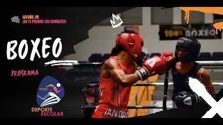 Final Boxeo Deporte Escolar
