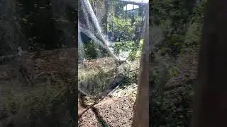 Depois da chuva de granizo o estado que ficou nossa horta