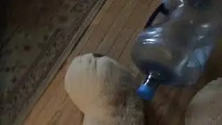 The Loop Hole Game