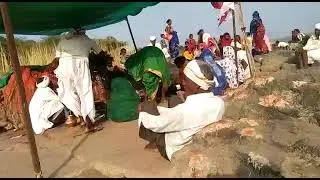 kolami video(माऊर