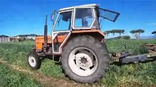FIAT 1000 SUPER & LANDINI 5500 in FALCIATURA LOIETTO 2020 for lovers of ITALIAN SOUND | HD |