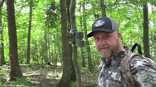 Summer trail camera scouting in Pa. : Big bear and deer.