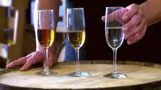 Proof Artisan Distillers MSUM Distilling Interview