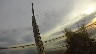 Duck hunting sutter bypass California