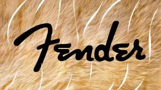 Fender brand animation
