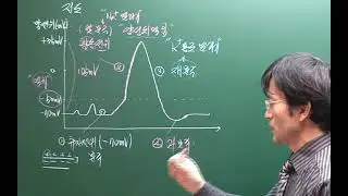 신경의전도 그래프 설명2