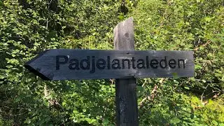 The Padjelanta Trail 2020 - Part 1: from Kvikkjokk