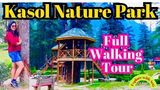 Nature Park | kasol | ख़ूबसूरती की मिसाल | Place with peace and beauty | Hidden Gem | Himachal |