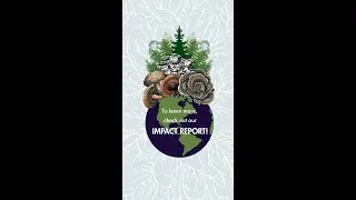 Sustainability at the Fungi Perfecti Warehouse
