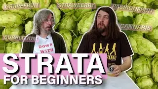 What is the Strata hop and what does it do?