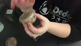 Unboxing TWO dwarf tarantula slings from Micro Wilderness!