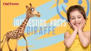 Interesting facts about Giraffe #kids #gk #videos  - Factscribe
