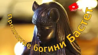 Проклятие богини Бастет. Мистика и история.