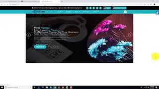 How to insert custom css code using customizer