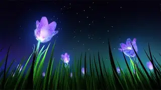 Relaxing Sleep Music and Night Nature Sounds_ Soft Crickets, Beautiful Piano, Deep Sleep Music