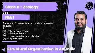 Presence of tissues in a multicellular organism ensures(1) Faster development (2) Division of lab...