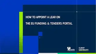 How to appoint a LEAR on the EU Funding & Tenders Portal