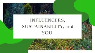 influencers, sustainability, and you | understanding the internet