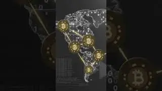 Nodos Validadores - Como Funciona Bitcoin - Short - BitcoinProg - Educacion Bitcoin
