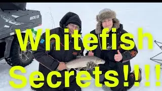 Tips and Tricks on how to catch whitefish- March 10th 2023
