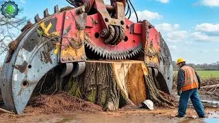 Extreme Dangerous Fastest Big Chainsaw Cutting Tree Machines | Monster Stump Removal Excavator ▶71