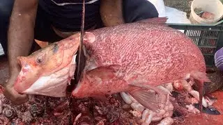 I never seen ll amazing big Biket fish cutting skills live by expert fish cutter 