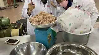 Experiment Minced Fish & Fishballs