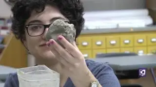 CSRI 2017: X-Ray Fluorescence Analysis of Archaeological Pottery