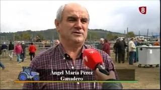Feria del Caballo en Soncillo