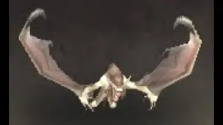 Broken Isles Safari: Echo Batling Battle Pet, Highmountain, WoW Retail