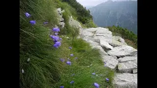TATRY. Szpiglasowy Wierch, lipiec 2021.