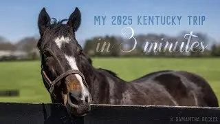 My 2025 Kentucky Trip in 3 Minutes