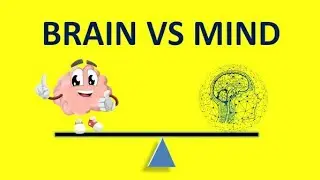 Difference between Brain and Mind