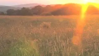 Mindfulness,  a non-judgmental awareness