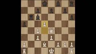 Checkmate in 28 moves! Rb7# Not my best